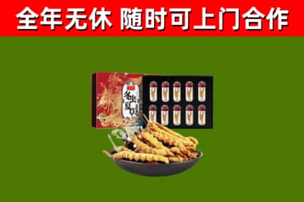 舞阳县烟酒回收冬虫夏草礼盒.jpg