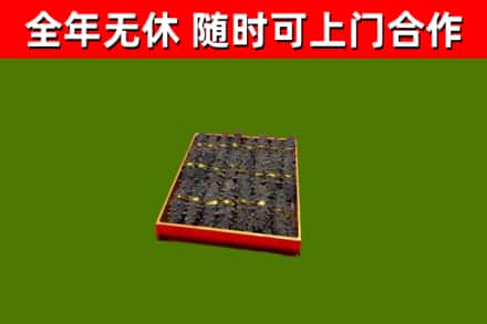 舞阳县回收海参